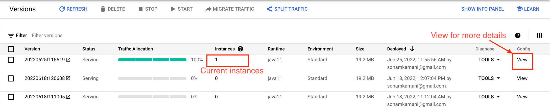 version dashboard showing instance count and config view