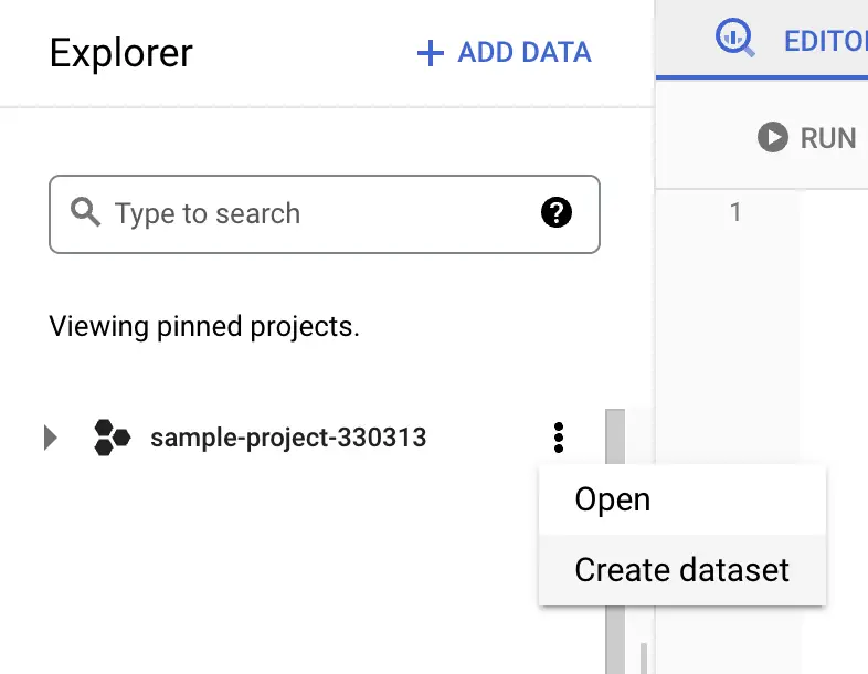 click on the options for your project under explorer and create a new dataset